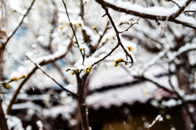 尔还是后来